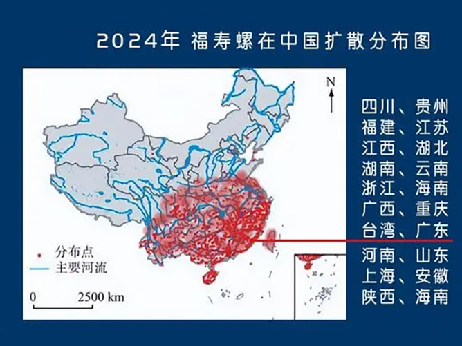 福寿螺在中国泛滥范围